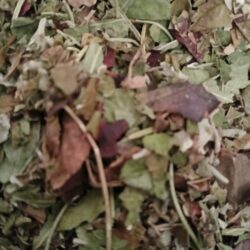 La circulation fluide