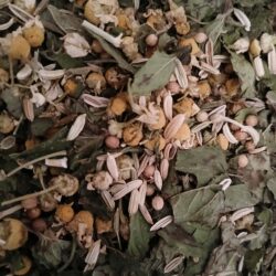 La digestion légère