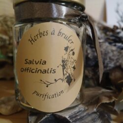 herbe à bruler sauge