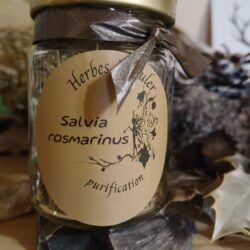 herbe à bruler romarin