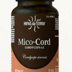 Cordyceps